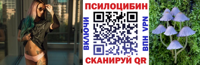 купить  цена  Яхрома  Псилоцибиновые грибы Psilocybine cubensis 