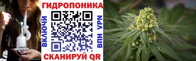blacksprut зеркало  Яхрома  Марихуана семена  хочу  